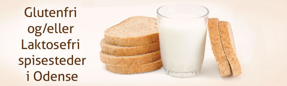 Glutenfri / Laktosefri mad