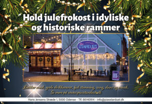Julefrokost Pias Stardust Odense
