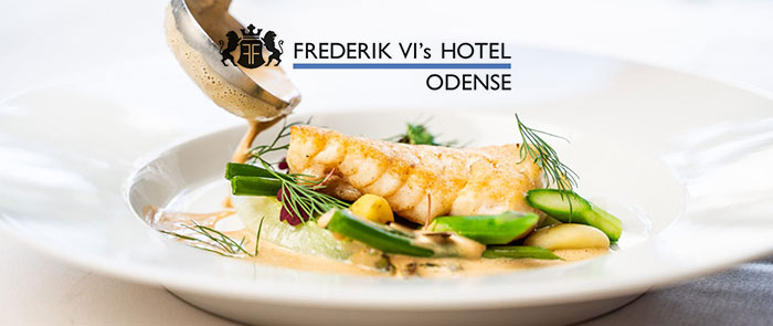frederik VI hotel Odense